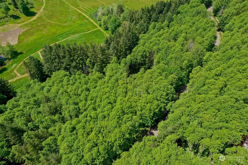 162 Owl Creek Lane Morton WA 98356