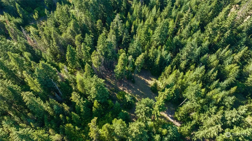 730 Tall Pines Drive Cle Elum WA 98922