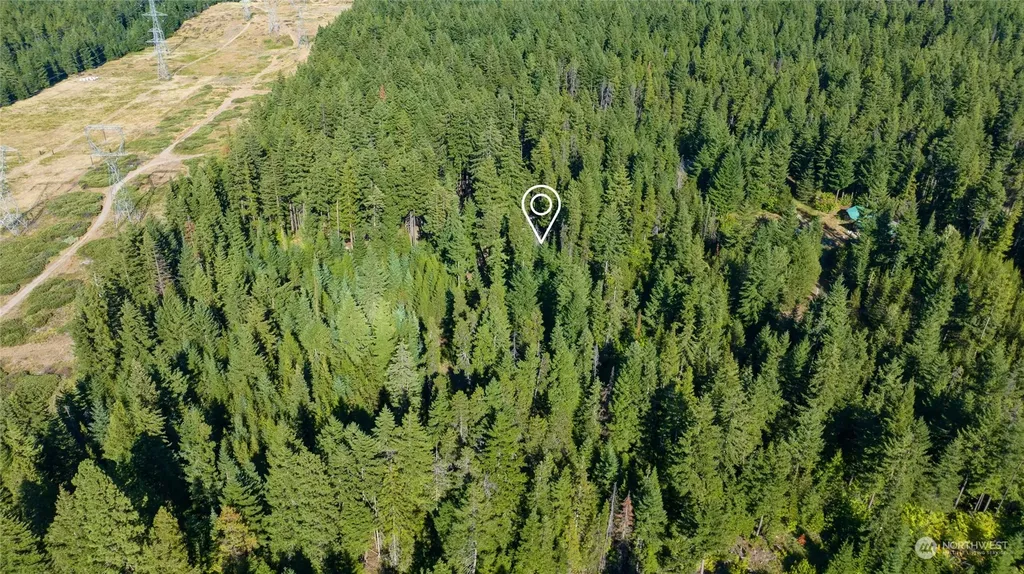 730 Tall Pines Drive Cle Elum WA 98922