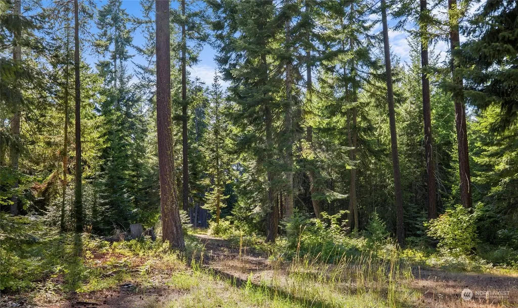 730 Tall Pines Drive Cle Elum WA 98922