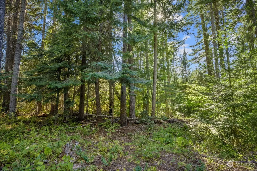 730 Tall Pines Drive Cle Elum WA 98922