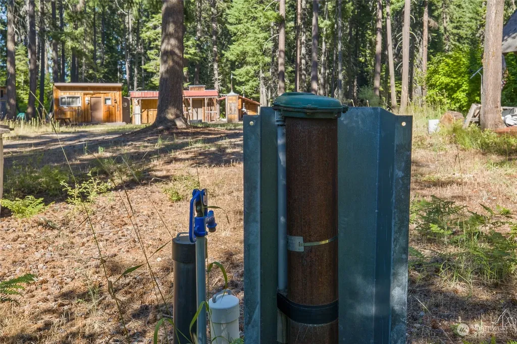 730 Tall Pines Drive Cle Elum WA 98922