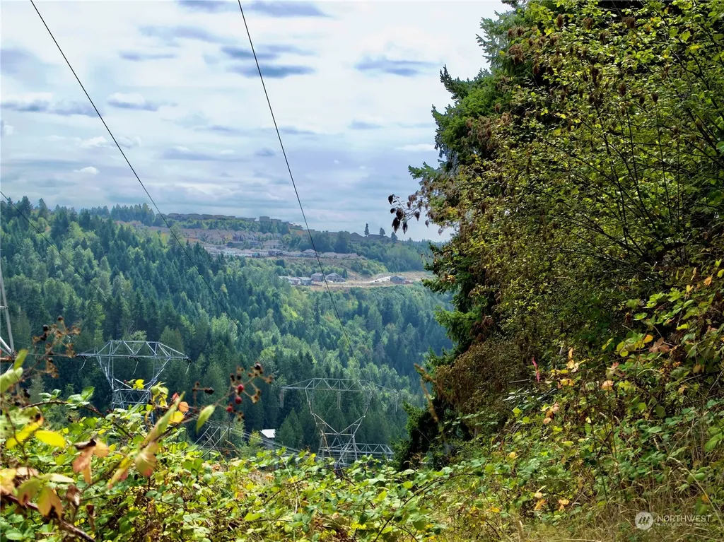 17233 State Route 410 W Bonney Lake WA 98391