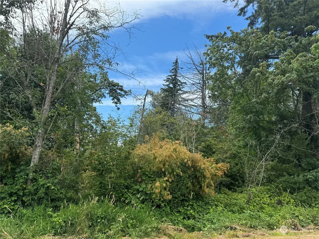 0 Harvey Road Blaine WA 98230