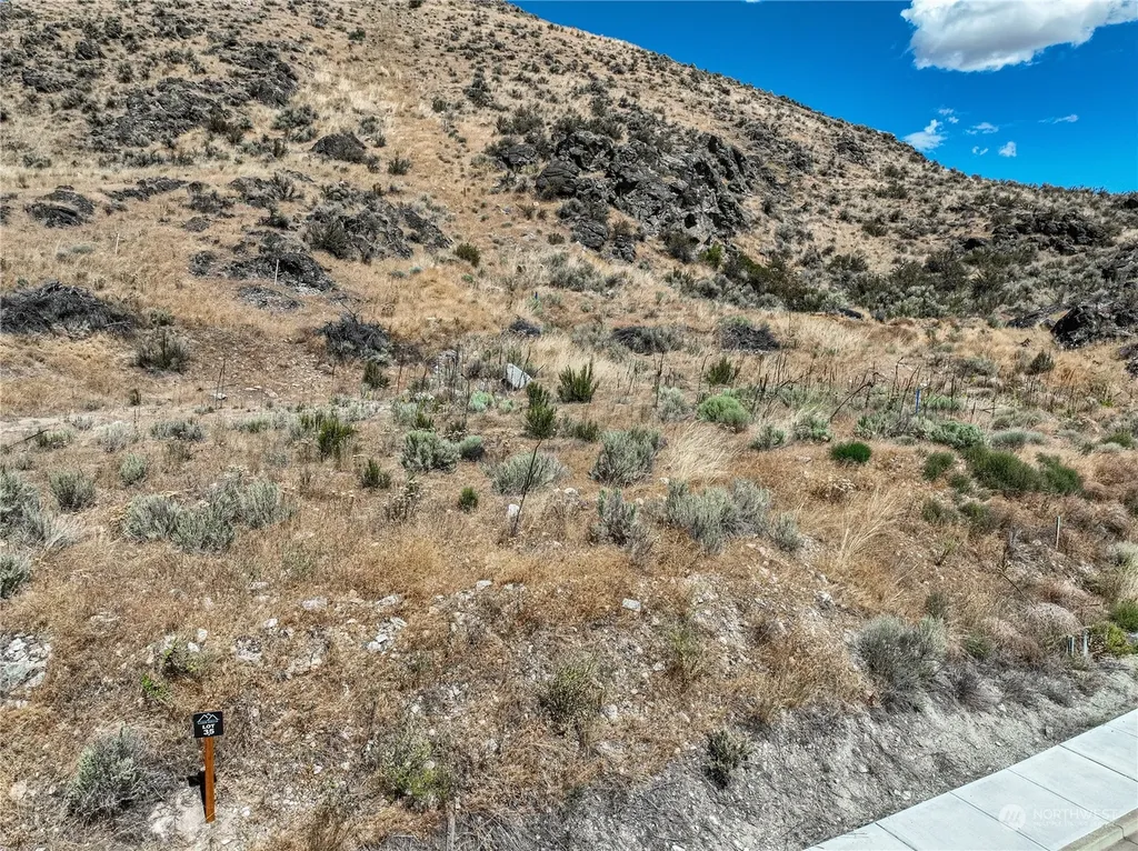 846 Long Drive Chelan WA 98816