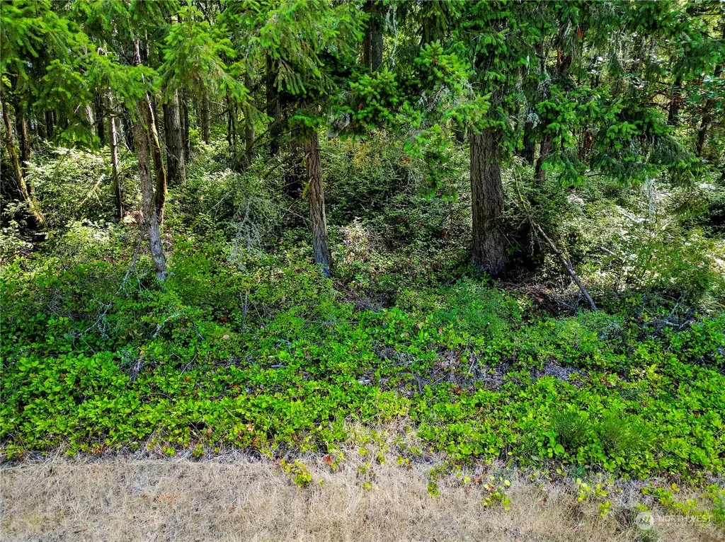 10205 Eckenstam Johnson Road Anderson Island WA 98303