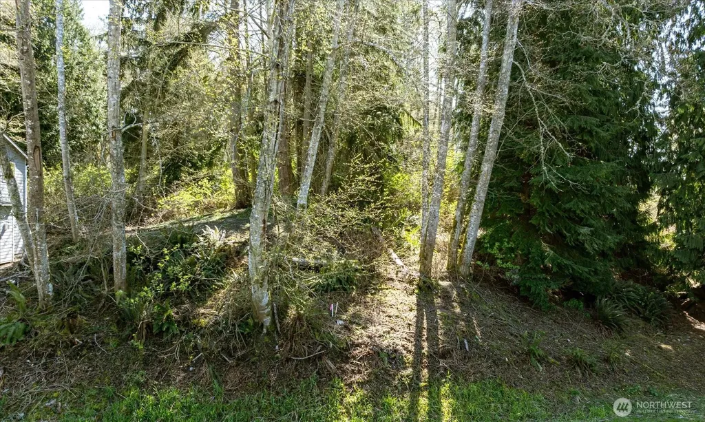 1774 Twin Oaks Lane Freeland WA 98249