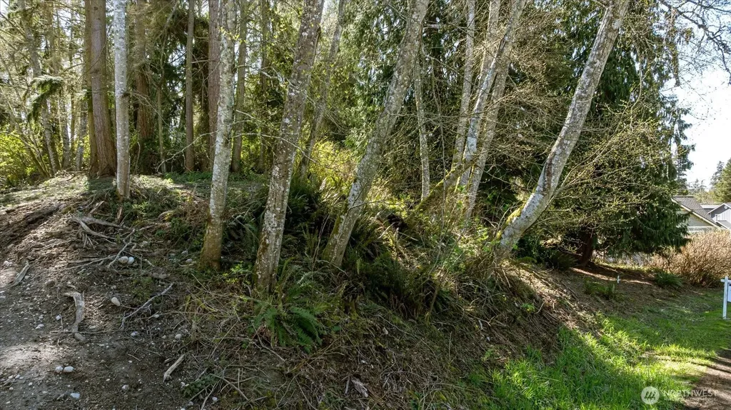 1774 Twin Oaks Lane Freeland WA 98249