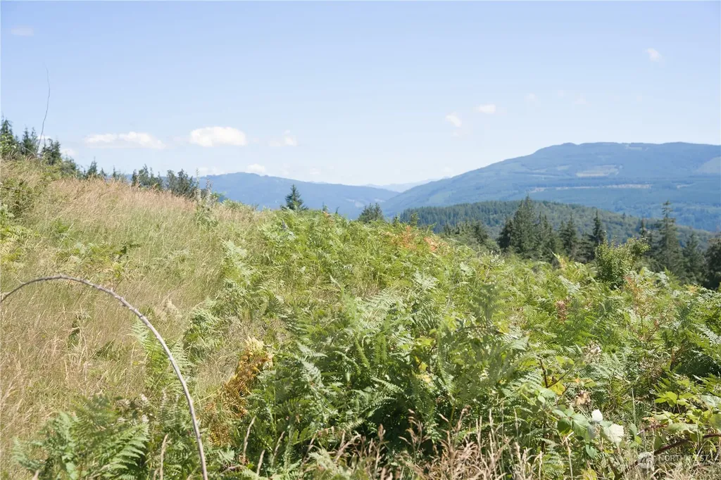 3291 Blanchard Knob Trail Bow WA 98232