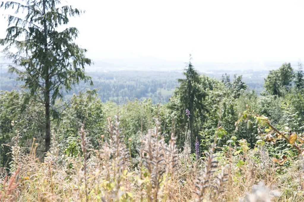 3291 Blanchard Knob Trail Bow WA 98232
