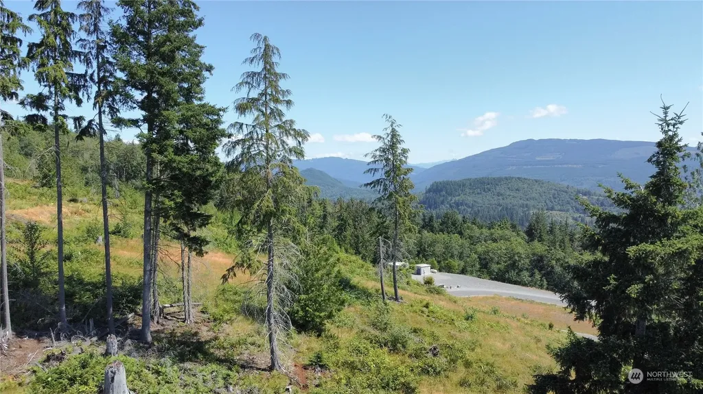 3291 Blanchard Knob Trail Bow WA 98232