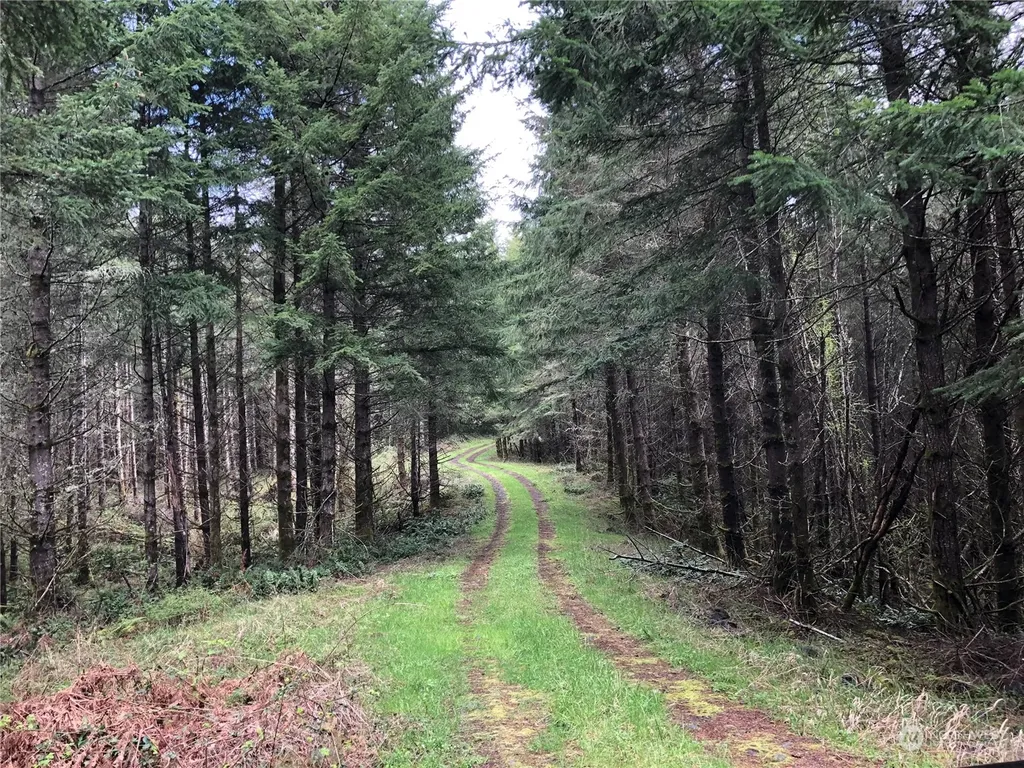 217 Thompson Creek Road Tenino WA 98589