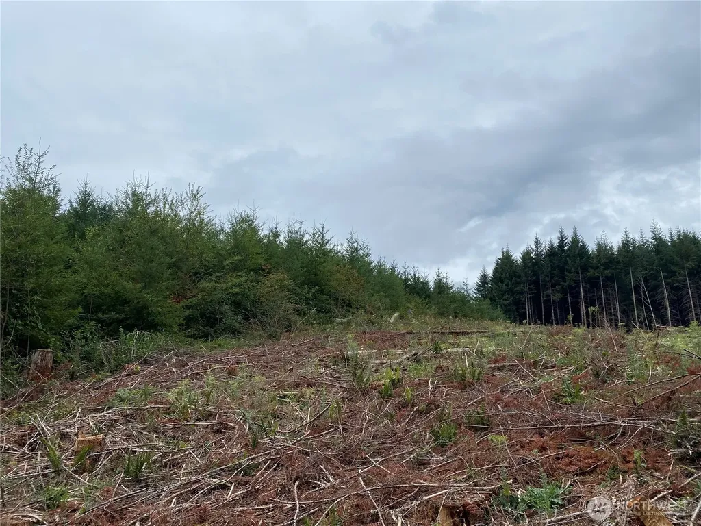 217 Thompson Creek Road Tenino WA 98589