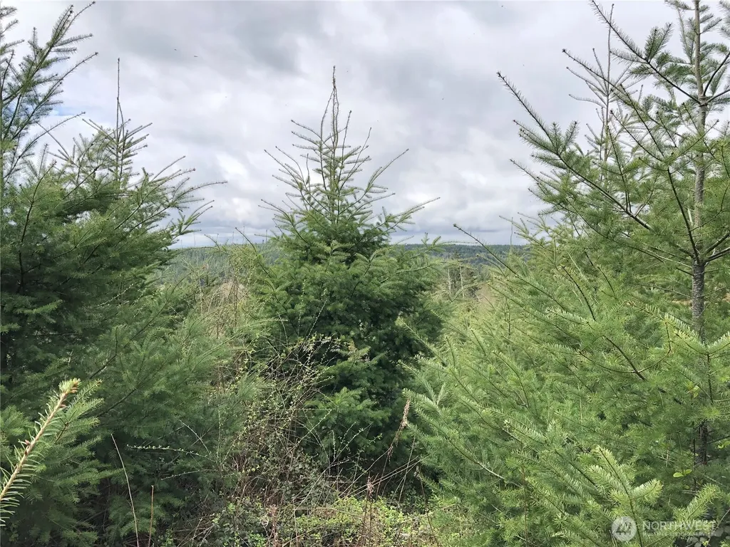 217 Thompson Creek Road Tenino WA 98589