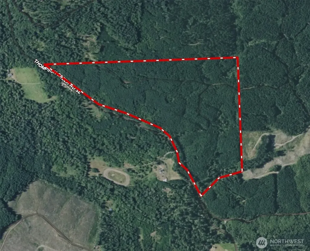 217 Thompson Creek Road Tenino WA 98589