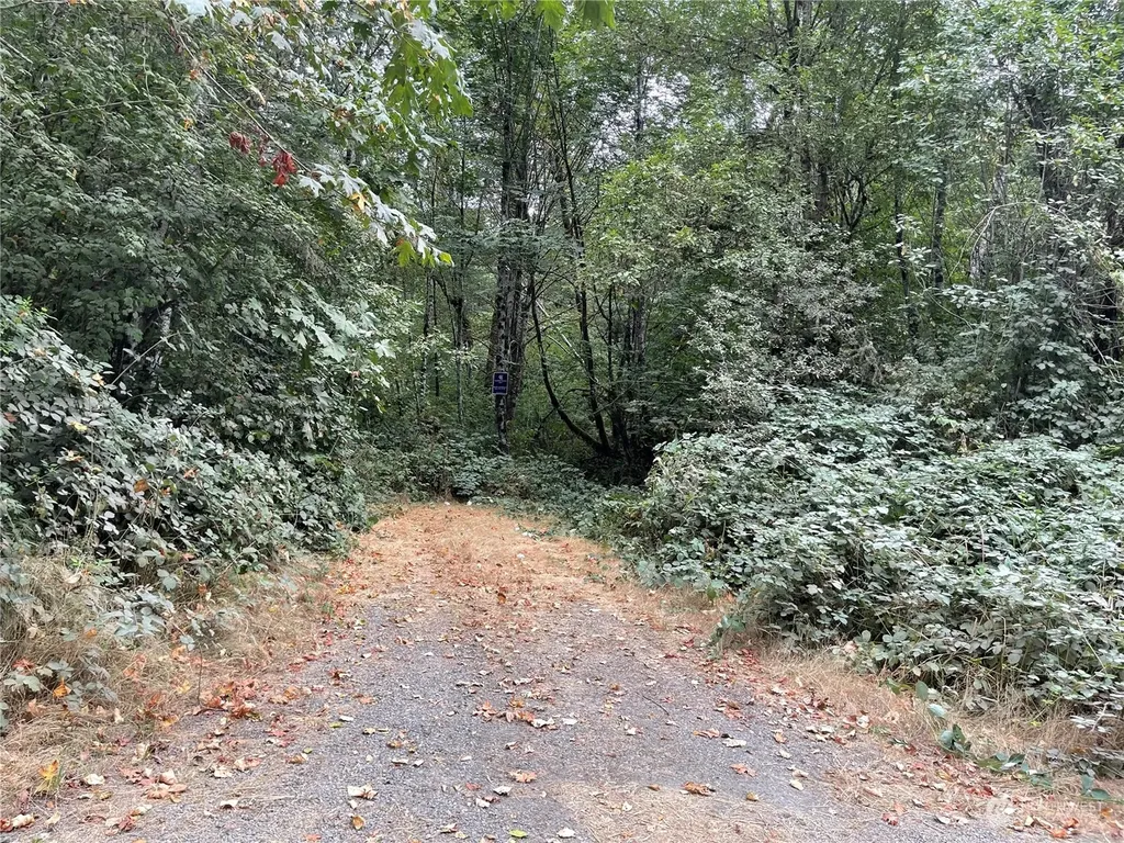 217 Thompson Creek Road Tenino WA 98589