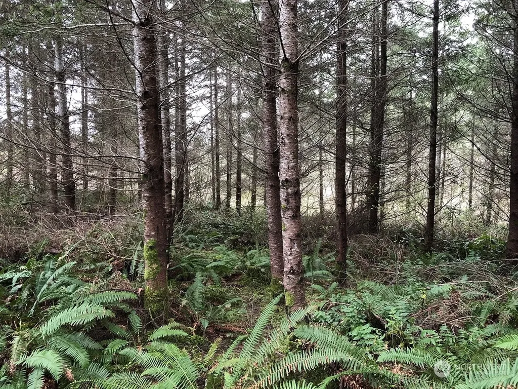 217 Thompson Creek Road Tenino WA 98589