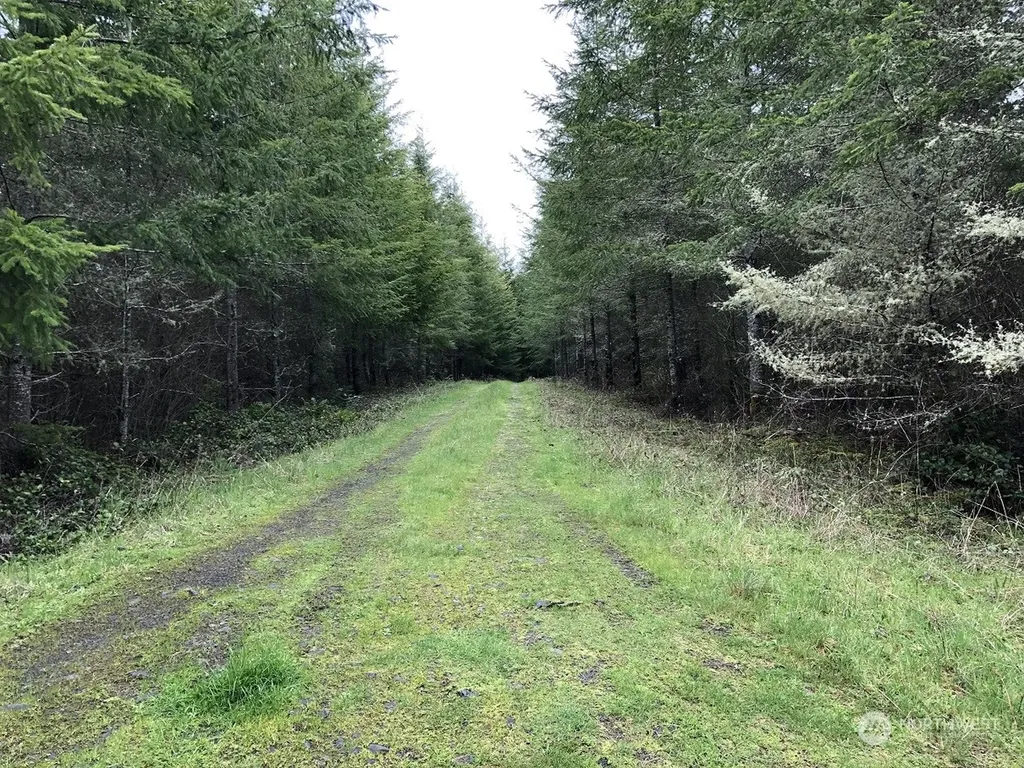 217 Thompson Creek Road Tenino WA 98589