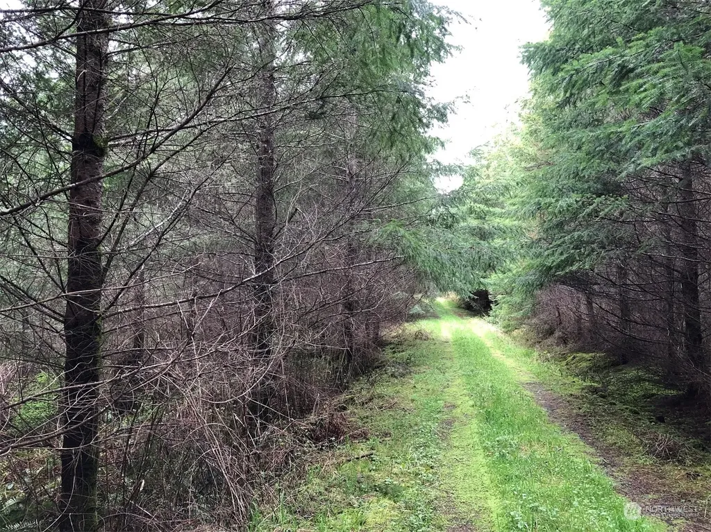 217 Thompson Creek Road Tenino WA 98589