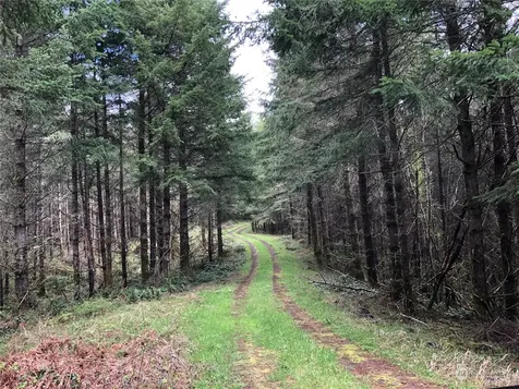 217 Thompson Creek Road Tenino WA 98589