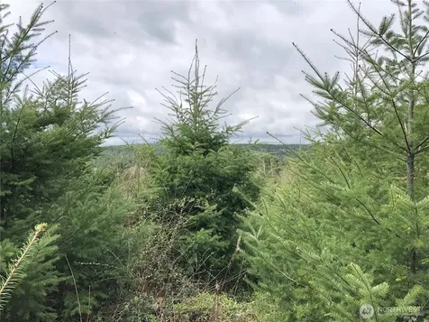 217 Thompson Creek Road Tenino WA 98589