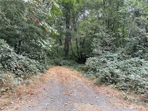 217 Thompson Creek Road Tenino WA 98589