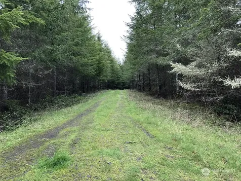 217 Thompson Creek Road Tenino WA 98589