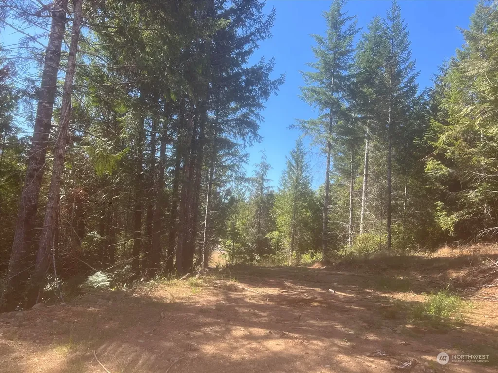 1 Mt Jupiter Road Brinnon WA 98320