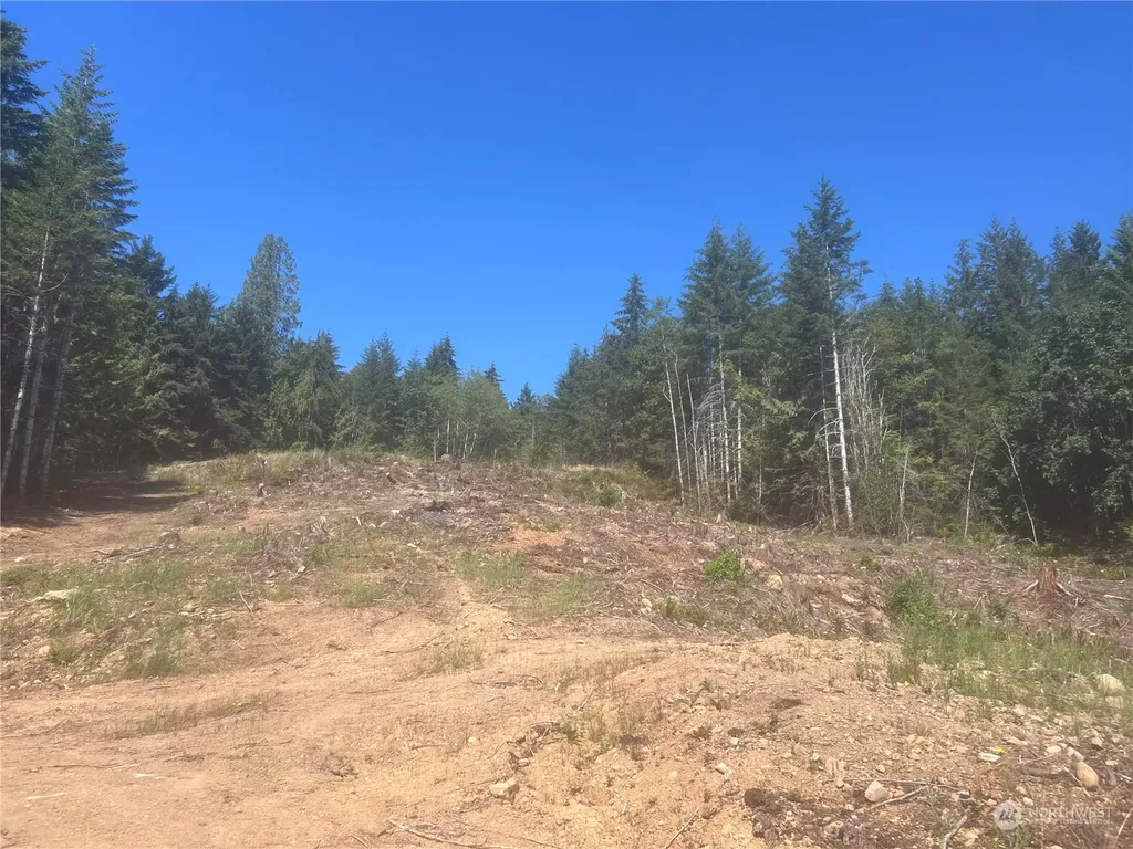 1 Mt Jupiter Road Brinnon WA 98320