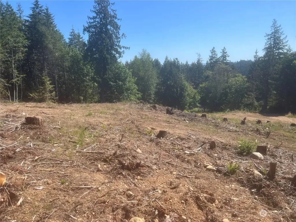 1 Mt Jupiter Road Brinnon WA 98320