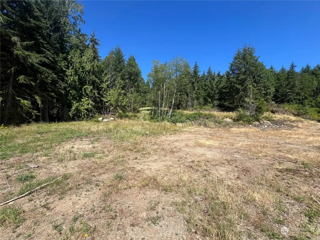 1 Mt Jupiter Road Brinnon WA 98320