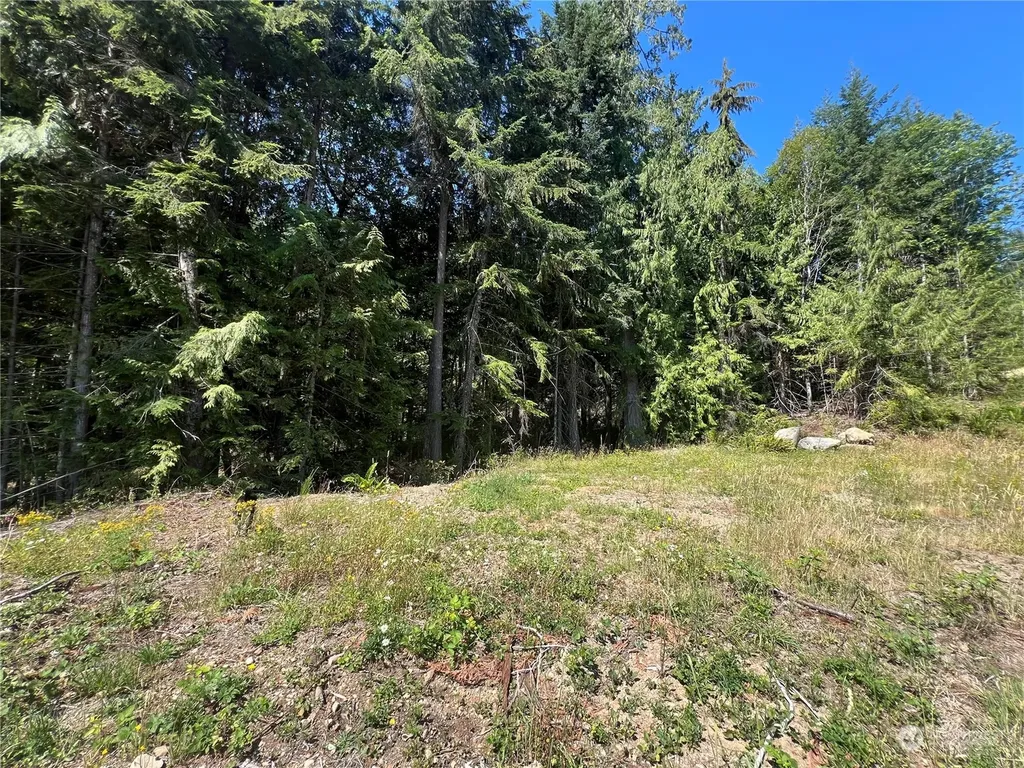 1 Mt Jupiter Road Brinnon WA 98320