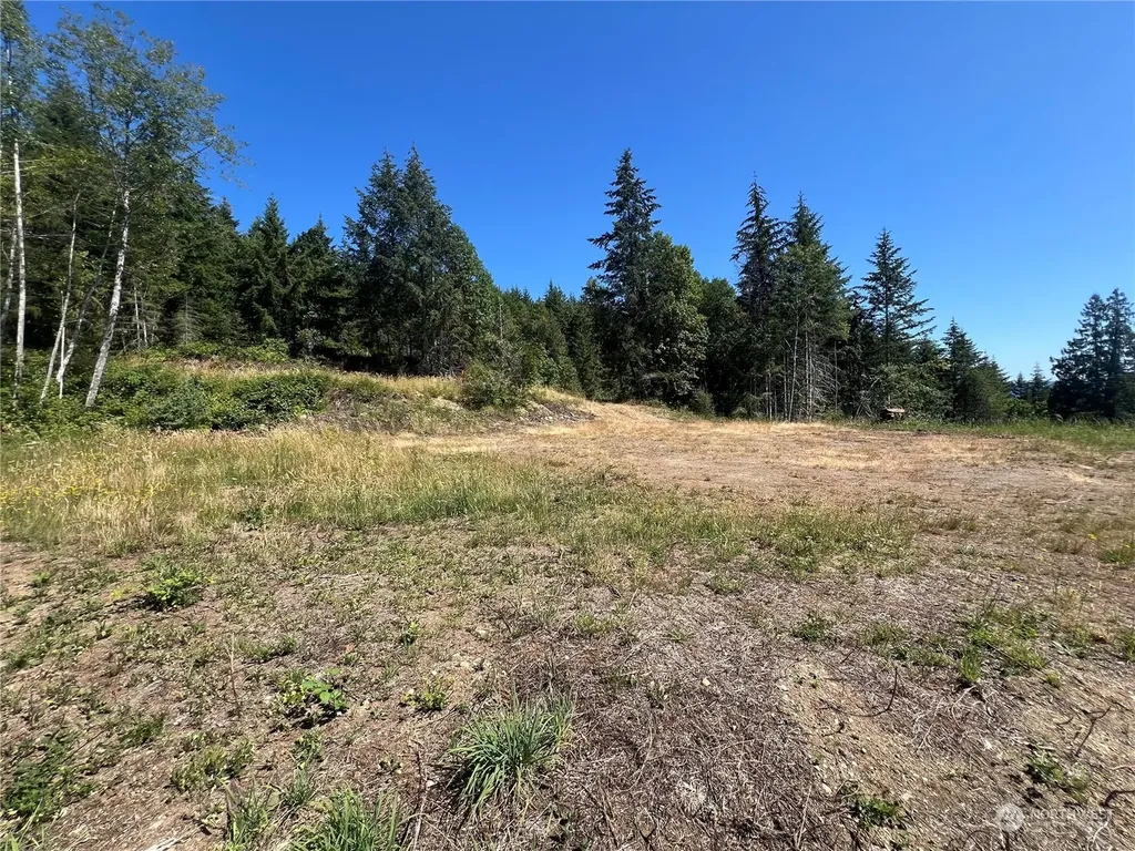 1 Mt Jupiter Road Brinnon WA 98320