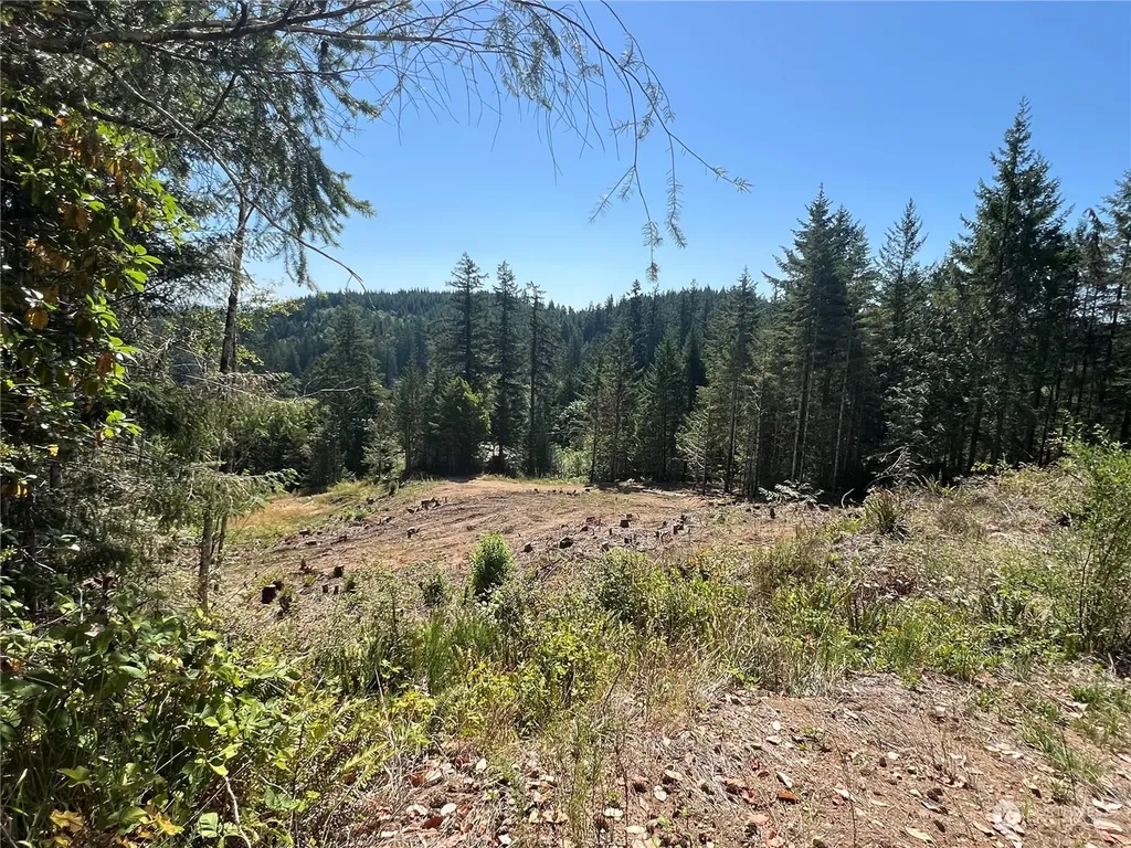 1 Mt Jupiter Road Brinnon WA 98320