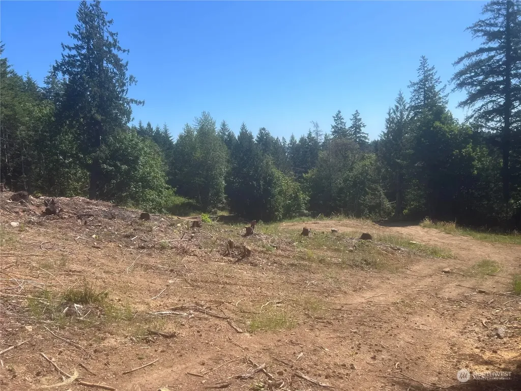 1 Mt Jupiter Road Brinnon WA 98320