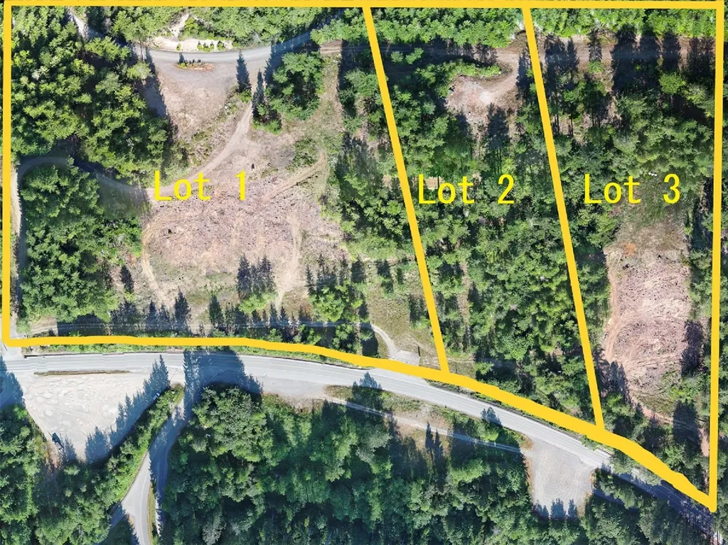 1 Mt Jupiter Road Brinnon WA 98320