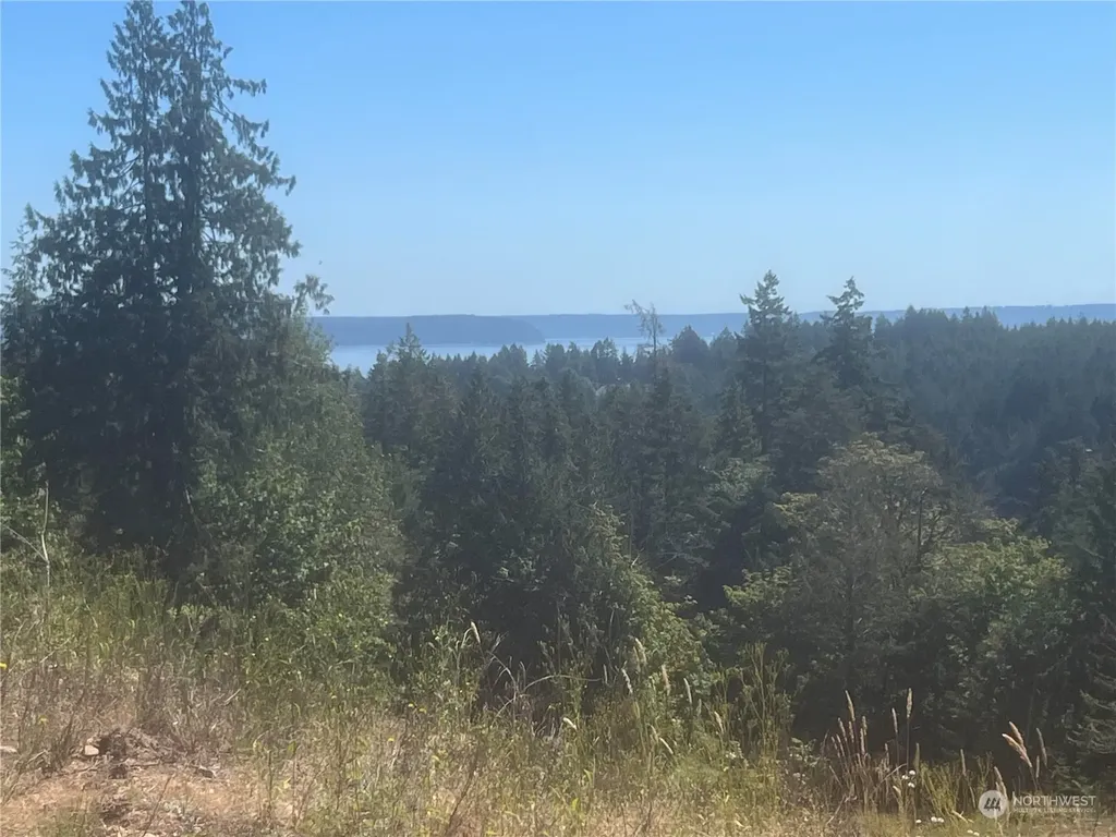 1 Mt Jupiter Road Brinnon WA 98320