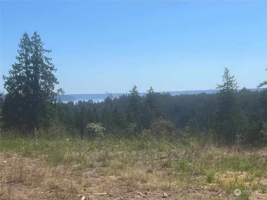 1 Mt Jupiter Road Brinnon WA 98320