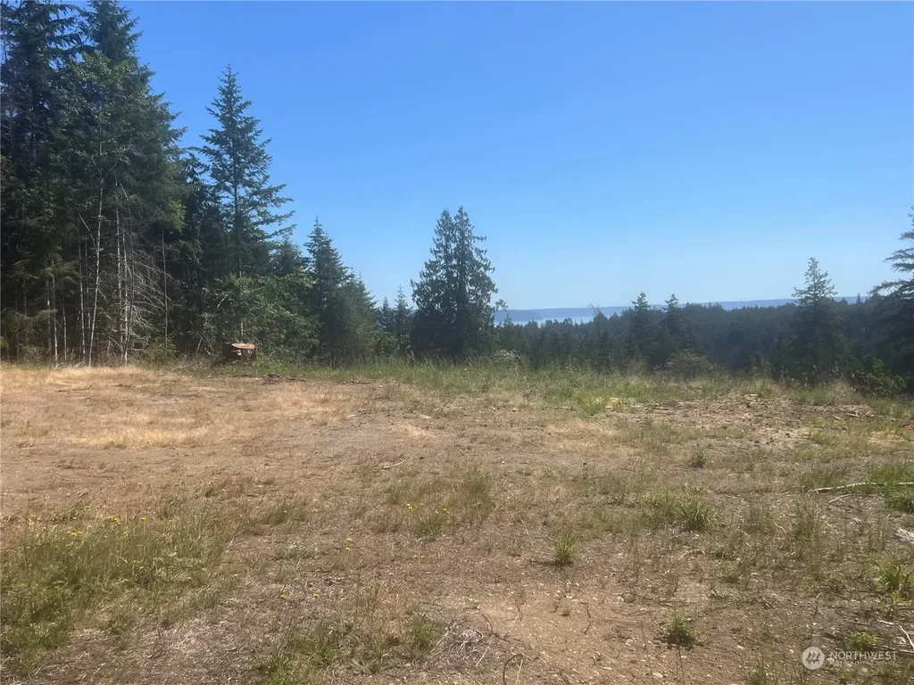 1 Mt Jupiter Road Brinnon WA 98320