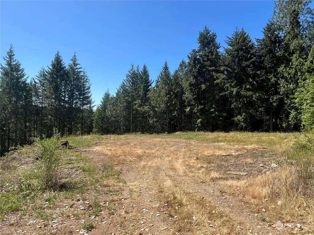 1 Mt Jupiter Road Brinnon WA 98320