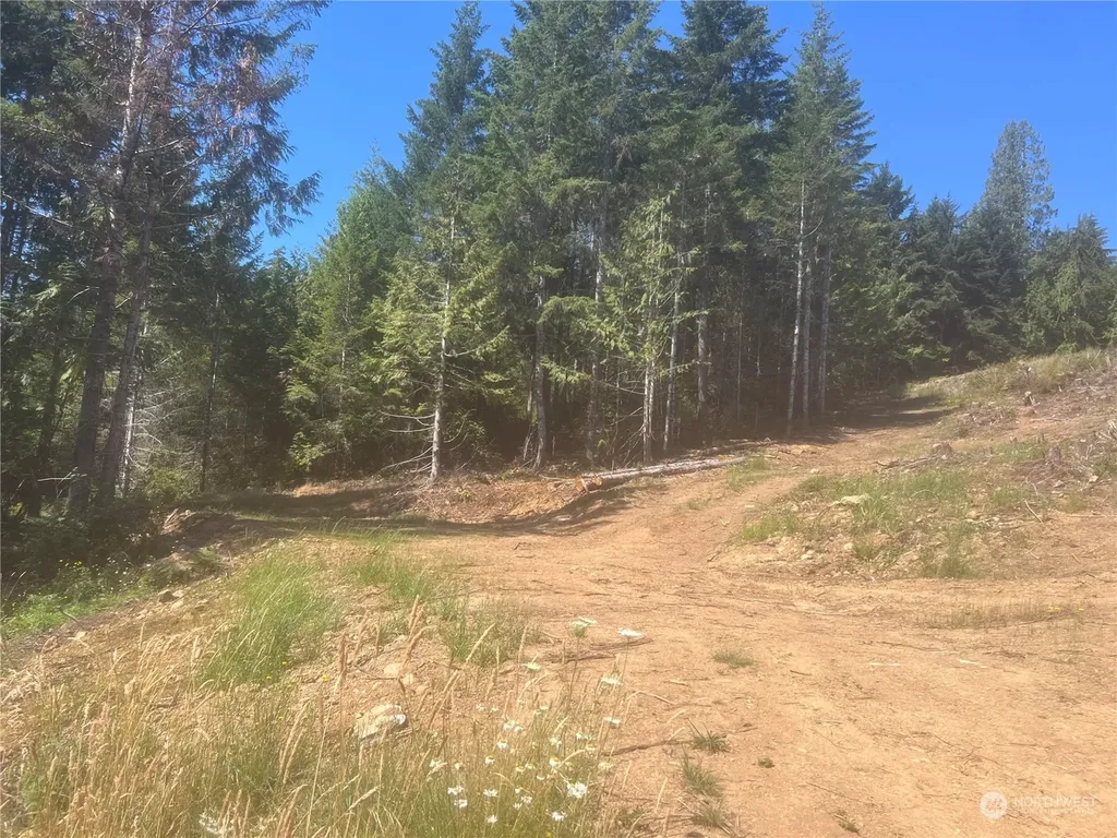 1 Mt Jupiter Road Brinnon WA 98320