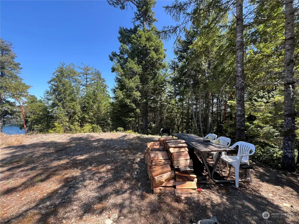 2 Mt Jupiter Road Brinnon WA 98376