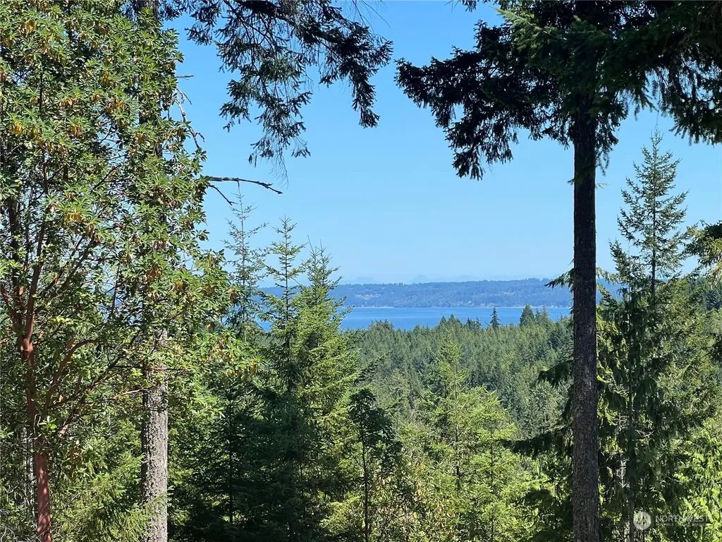 2 Mt Jupiter Road Brinnon WA 98376