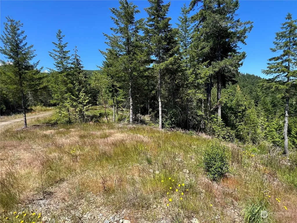 2 Mt Jupiter Road Brinnon WA 98376