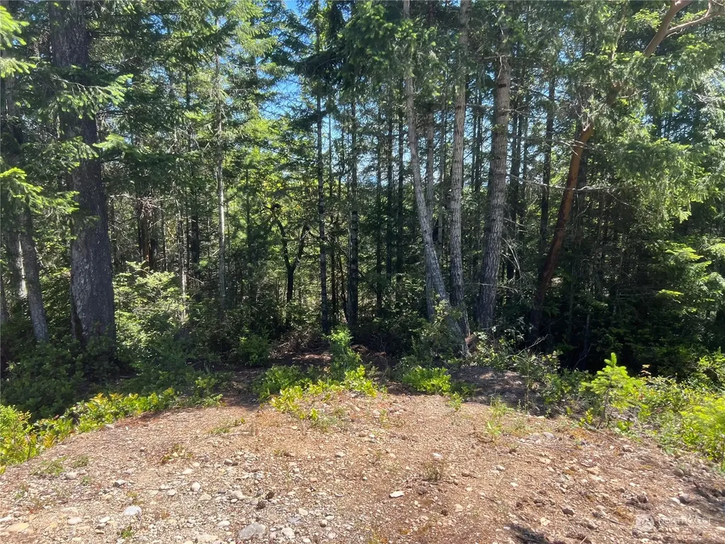 2 Mt Jupiter Road Brinnon WA 98376