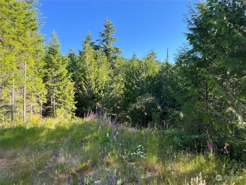 2 Mt Jupiter Road Brinnon WA 98376