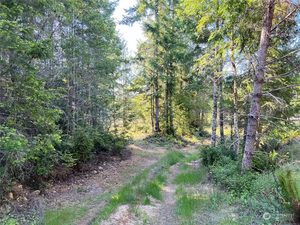 2 Mt Jupiter Road Brinnon WA 98376