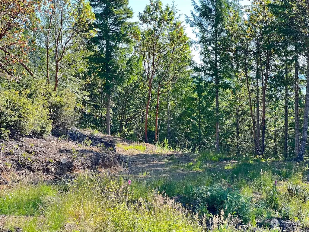 2 Mt Jupiter Road Brinnon WA 98376