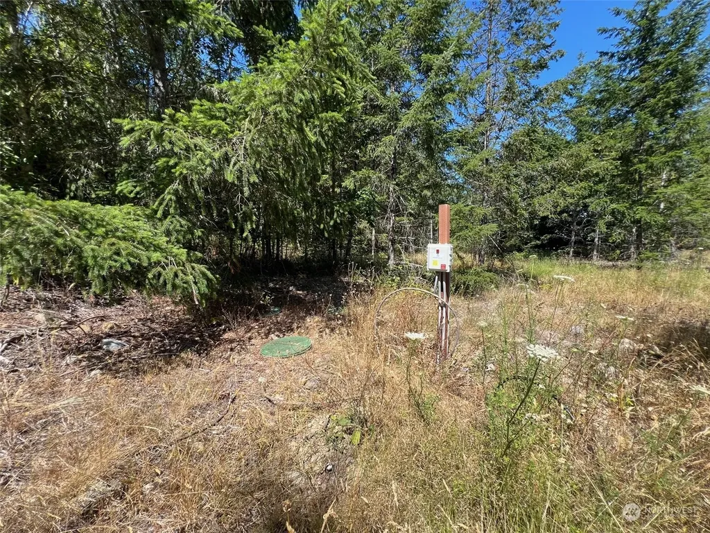 2 Mt Jupiter Road Brinnon WA 98376