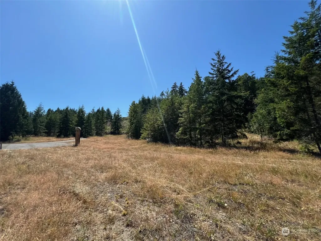 2 Mt Jupiter Road Brinnon WA 98376